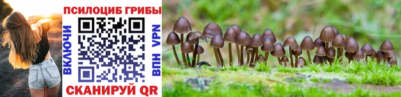 Галлюциногенные грибы GOLDEN TEACHER  Купить  Пионерский 